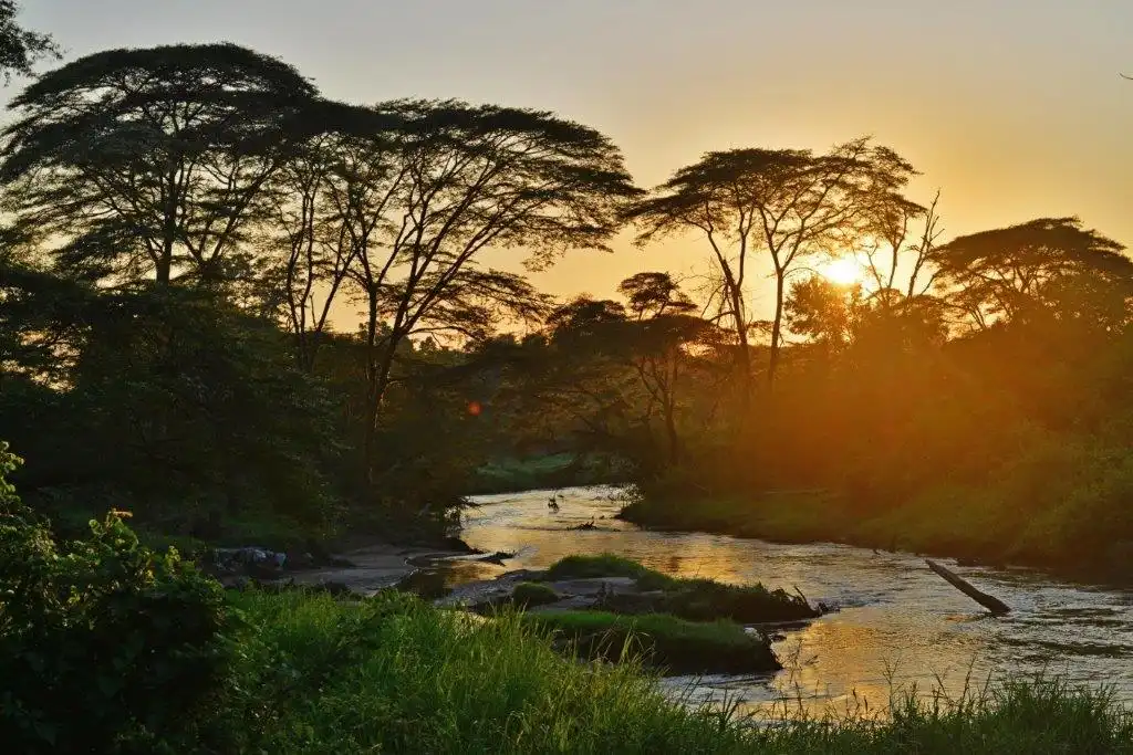 11 Nights Uganda