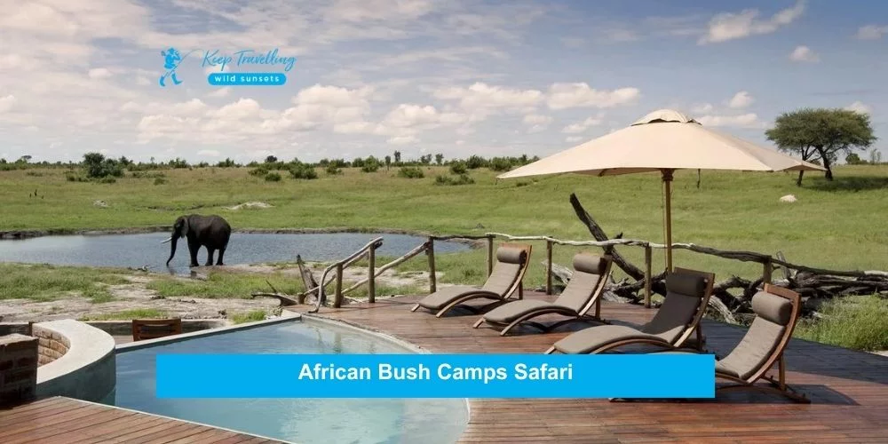 African Bush Camps Safari: Explore Authentic Wilderness Experiences