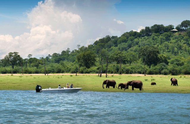 Safari to Changa Safari Camp
