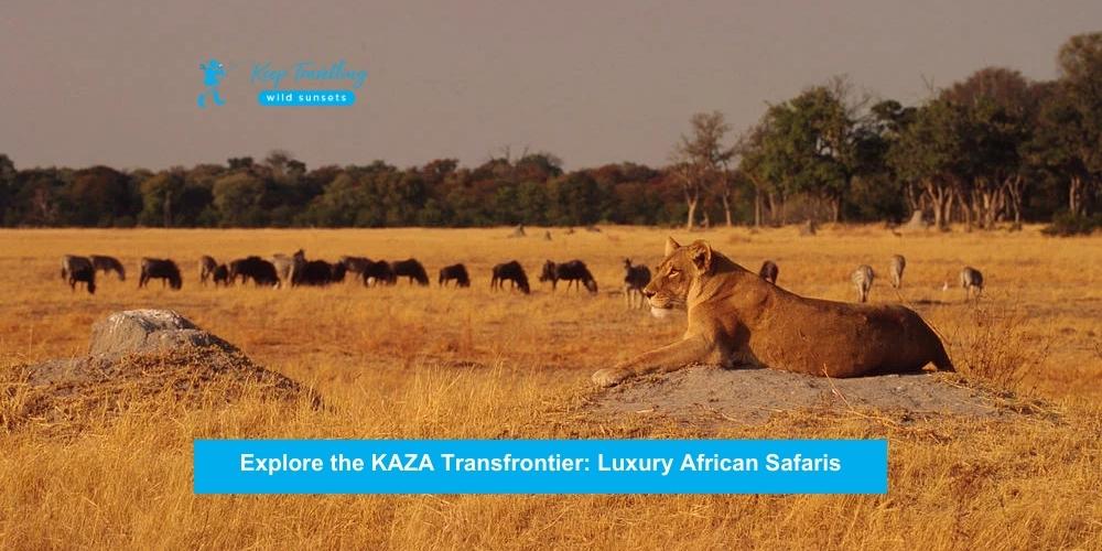 KAZA Transfrontier: Luxury African Safaris