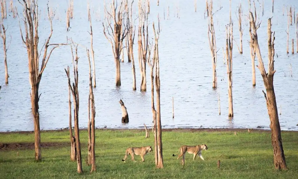 9 Nights Zimbabwe