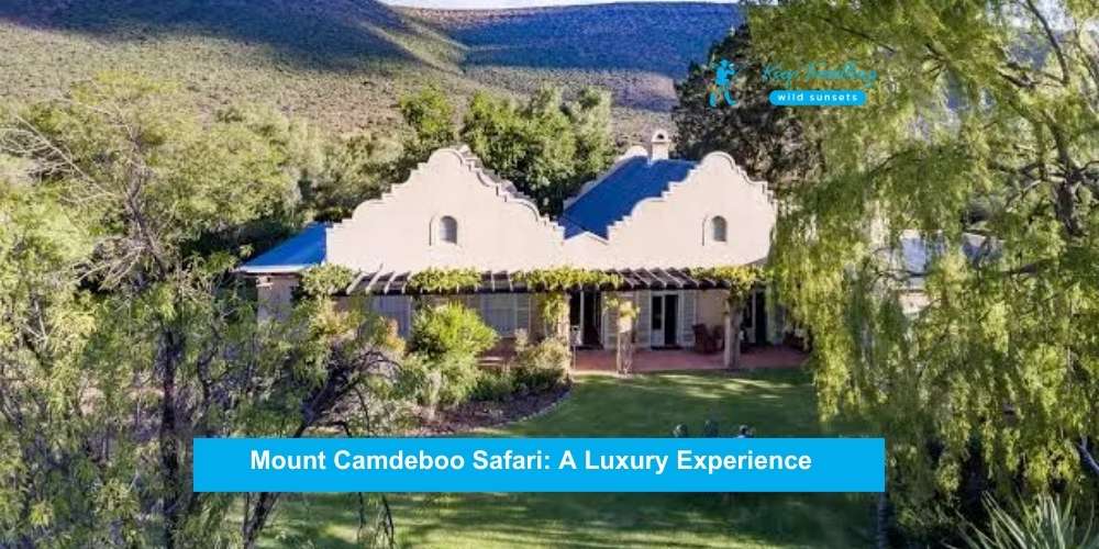 Mount Camdeboo Safari: A Luxury Experience