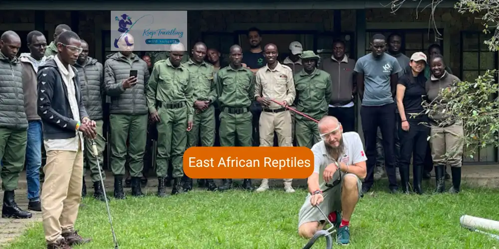 East African Reptiles: The Most Educational Snake Park in Kenya