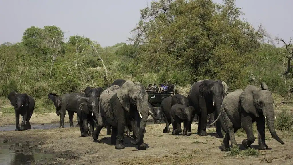 MalaMala Sable Camp – Kruger National Park