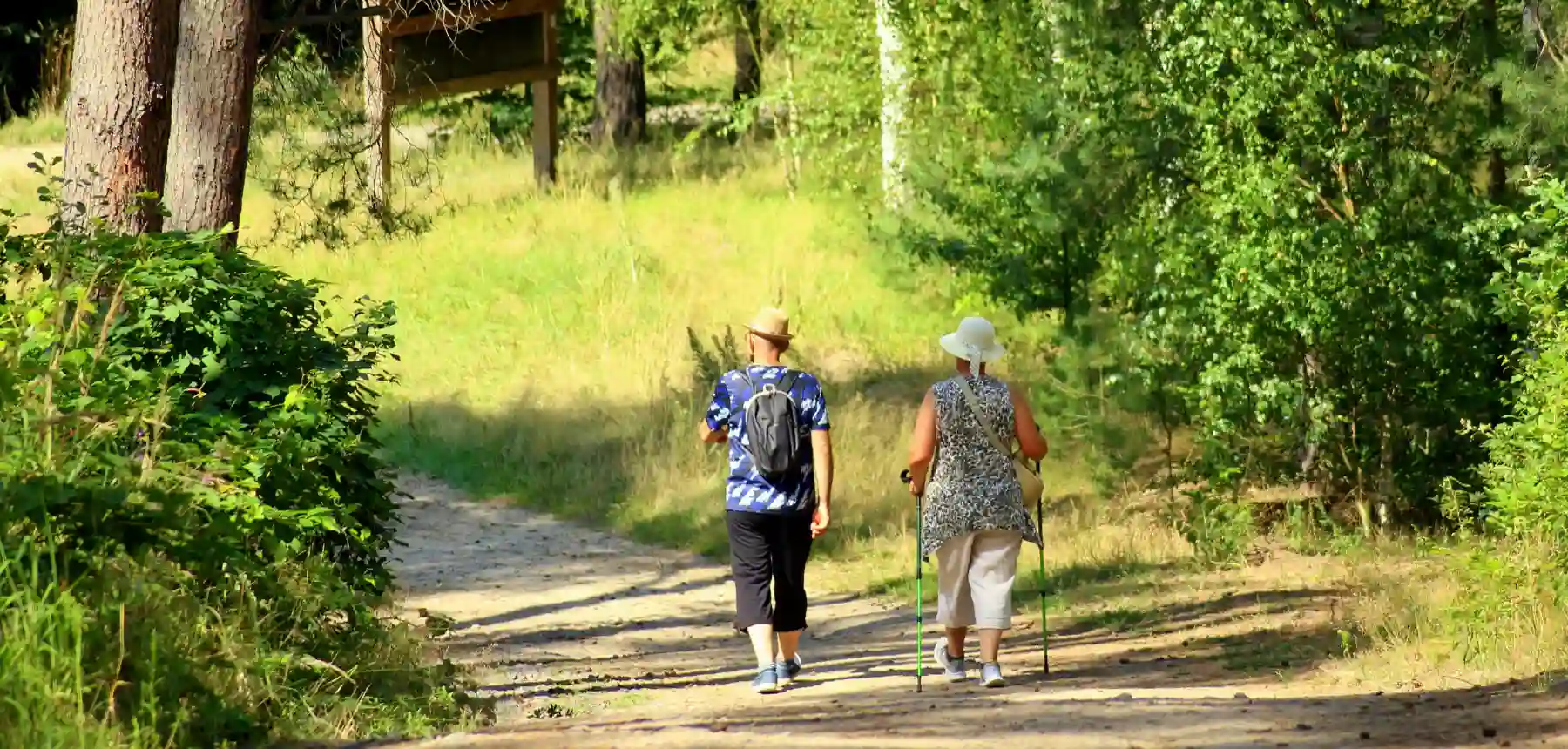 Two people walking along forest trail surrounded by green trees and sunlight