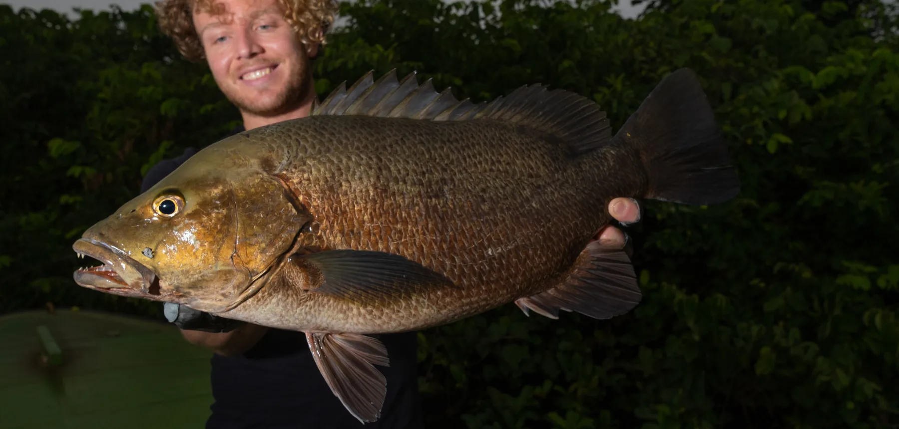 Close-up of man holding large freshwater fish outdoors