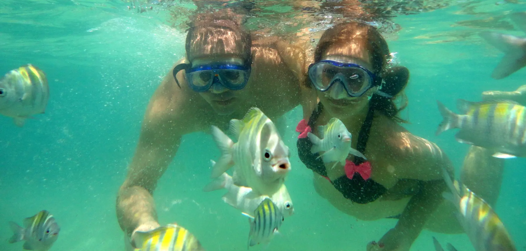 Two people snorkelling underwater surrounded by tropical fish in clear blue sea