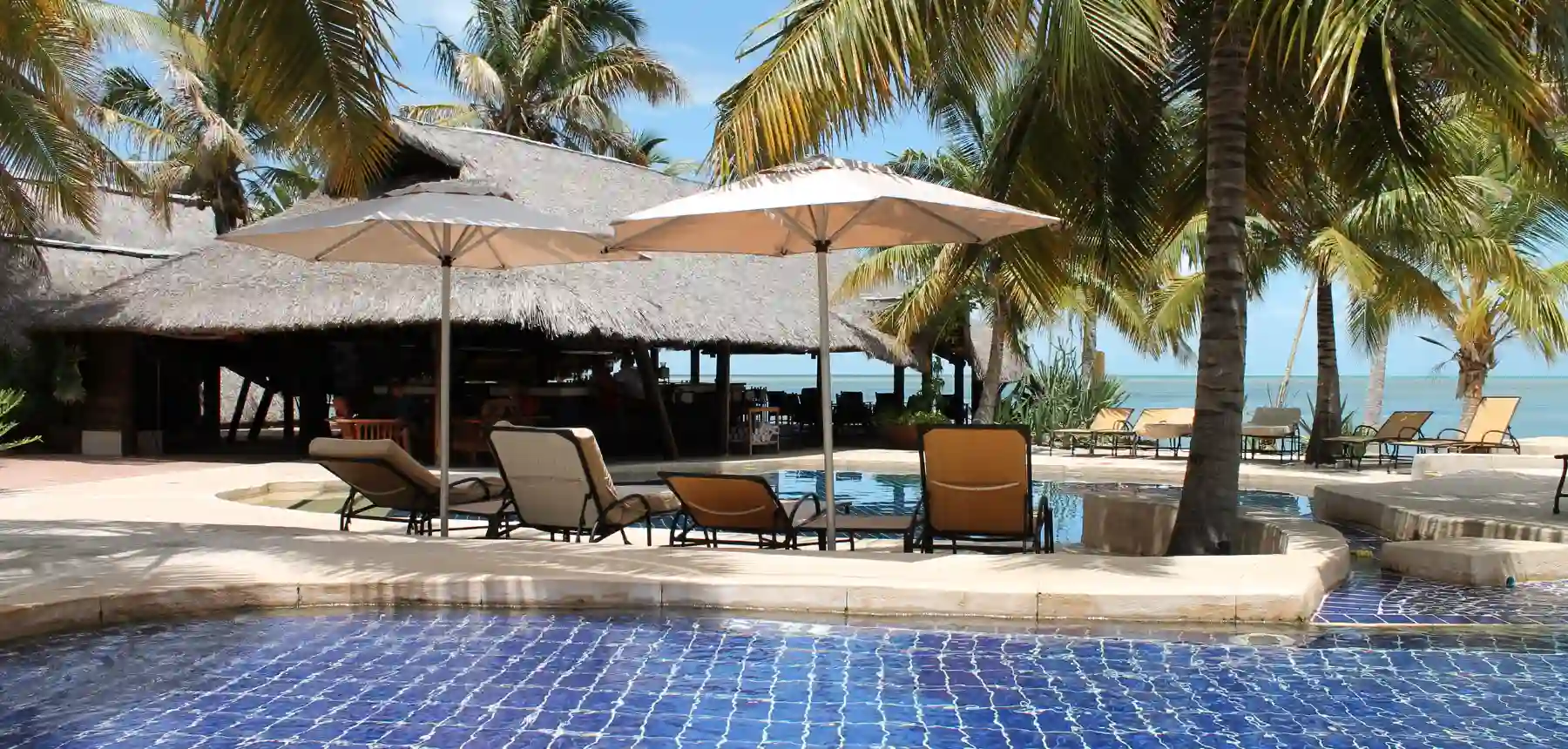 Beachfront resort pool with sun loungers and palm trees overlooking the ocean