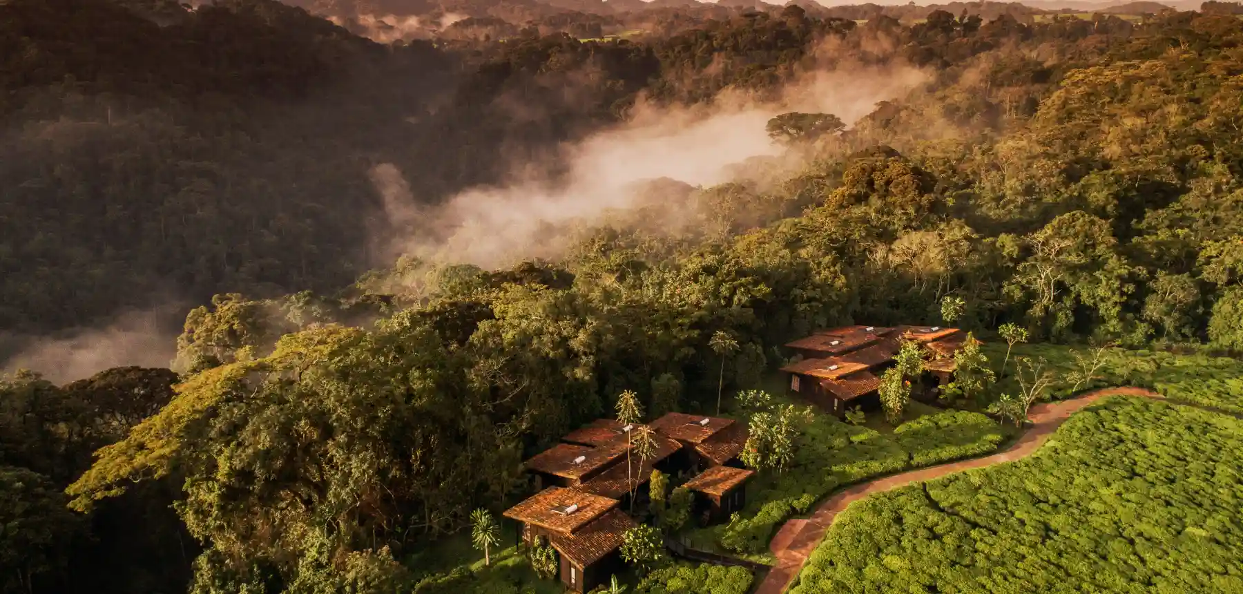 Aerial view of a luxury forest lodge beside misty rainforest hills