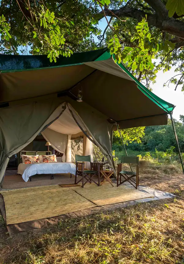John’s Camp – Zimbabwe