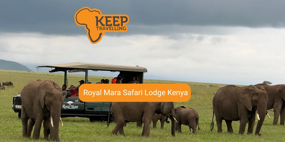 Royal Mara Safari Lodge in Kenya’s Mara North Conservancy
