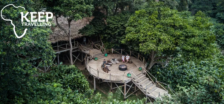 Aerial view of a Kamba Africa lodge deck surrounded by dense rainforest in Odzala