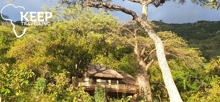 Hodi Hodi lodge building nestled among mature trees in southern Tanzania