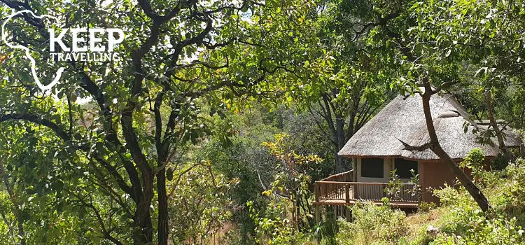 Thatched Hodi Hodi safari chalet surrounded by woodland near Ruaha National Park