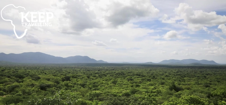 Wide green wilderness and distant mountains near Ruaha National Park in southern Tanzania