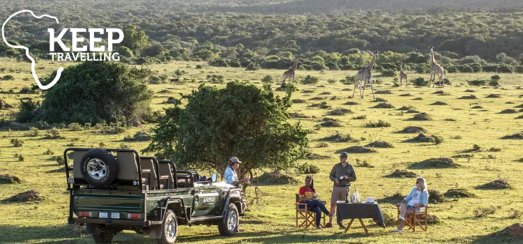 Safari guests beside a game drive vehicle with giraffes in the background at Kariega Game Reserve